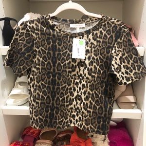 Harper wren  Hillary top